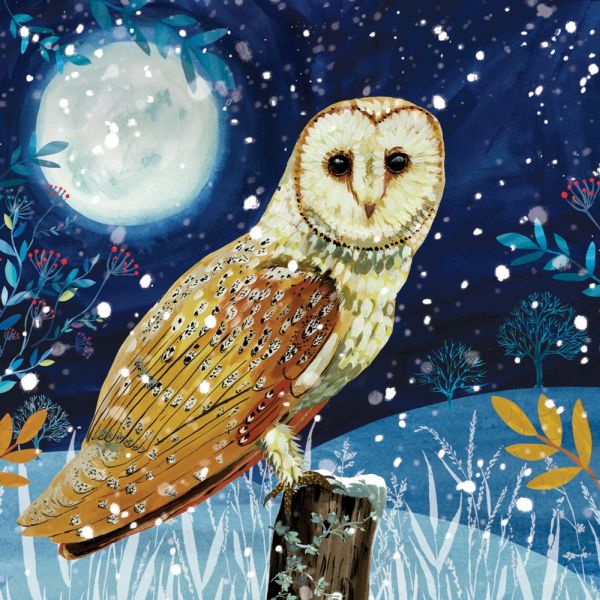 Luxury RSPB Charity Christmas Cards - Night Owl - Pack of 10